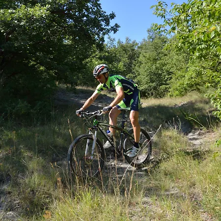 Faro Rosso Montanaldo