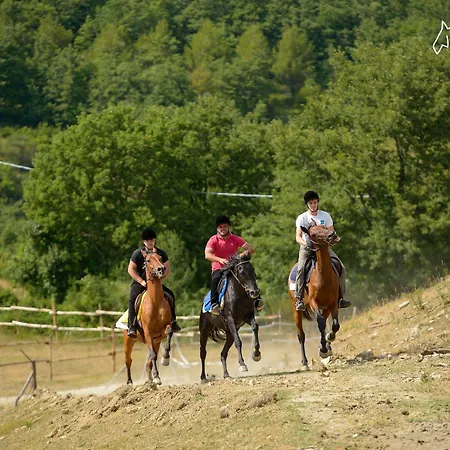 Casa rural Faro Rosso *