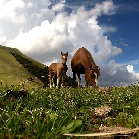 Faro Rosso * Montanaldo