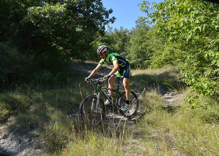 Faro Rosso Montanaldo