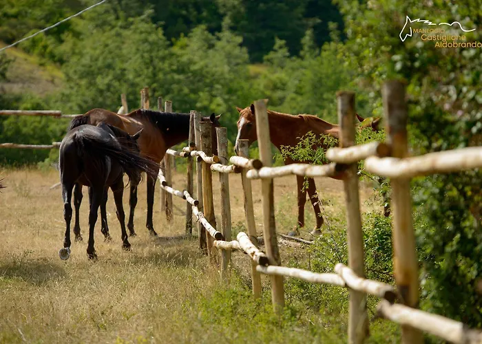 Faro Rosso Casa di campagna